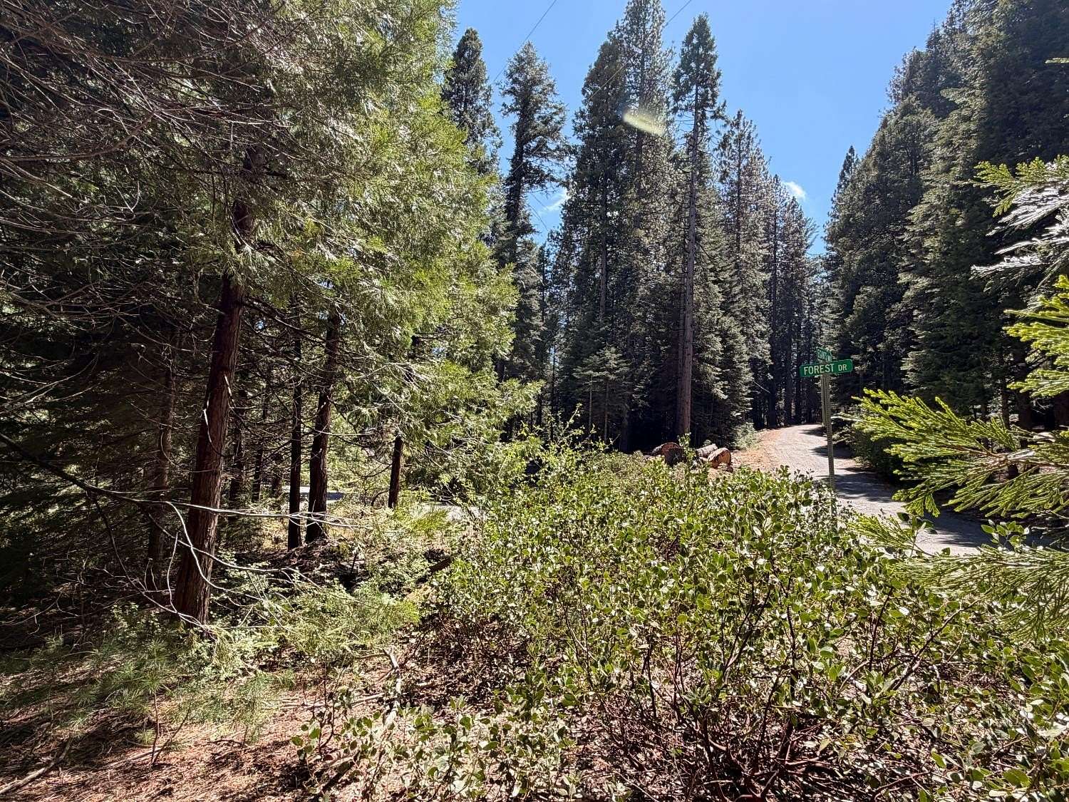 0.27 Acres of Residential Land for Sale in Fish Camp, California