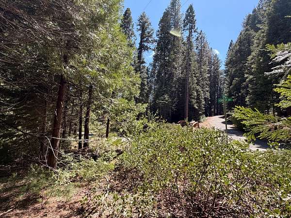 0.27 Acres of Residential Land for Sale in Fish Camp, California