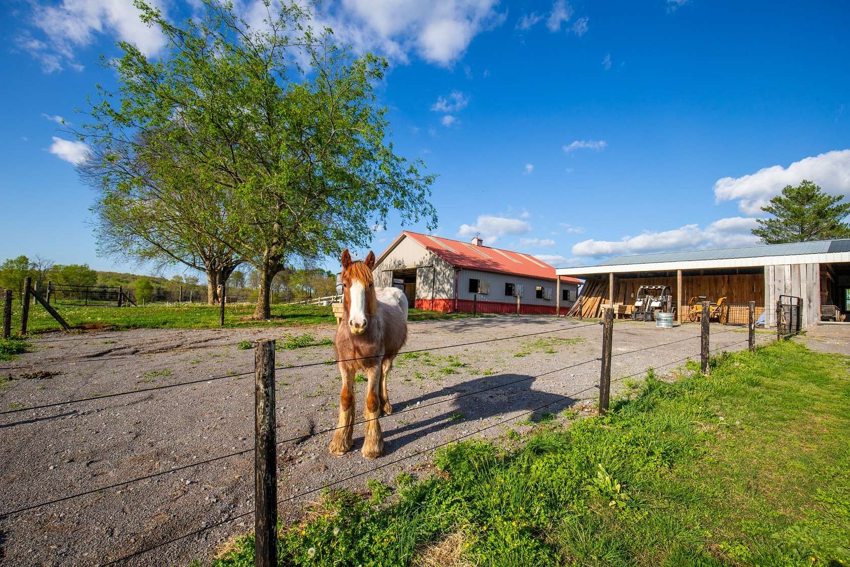 16.5 Acres of Land with Home for Sale in Unionville, Tennessee