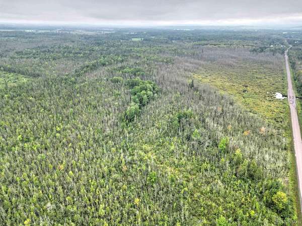 80 Acres of Land for Sale in Baraga, Michigan