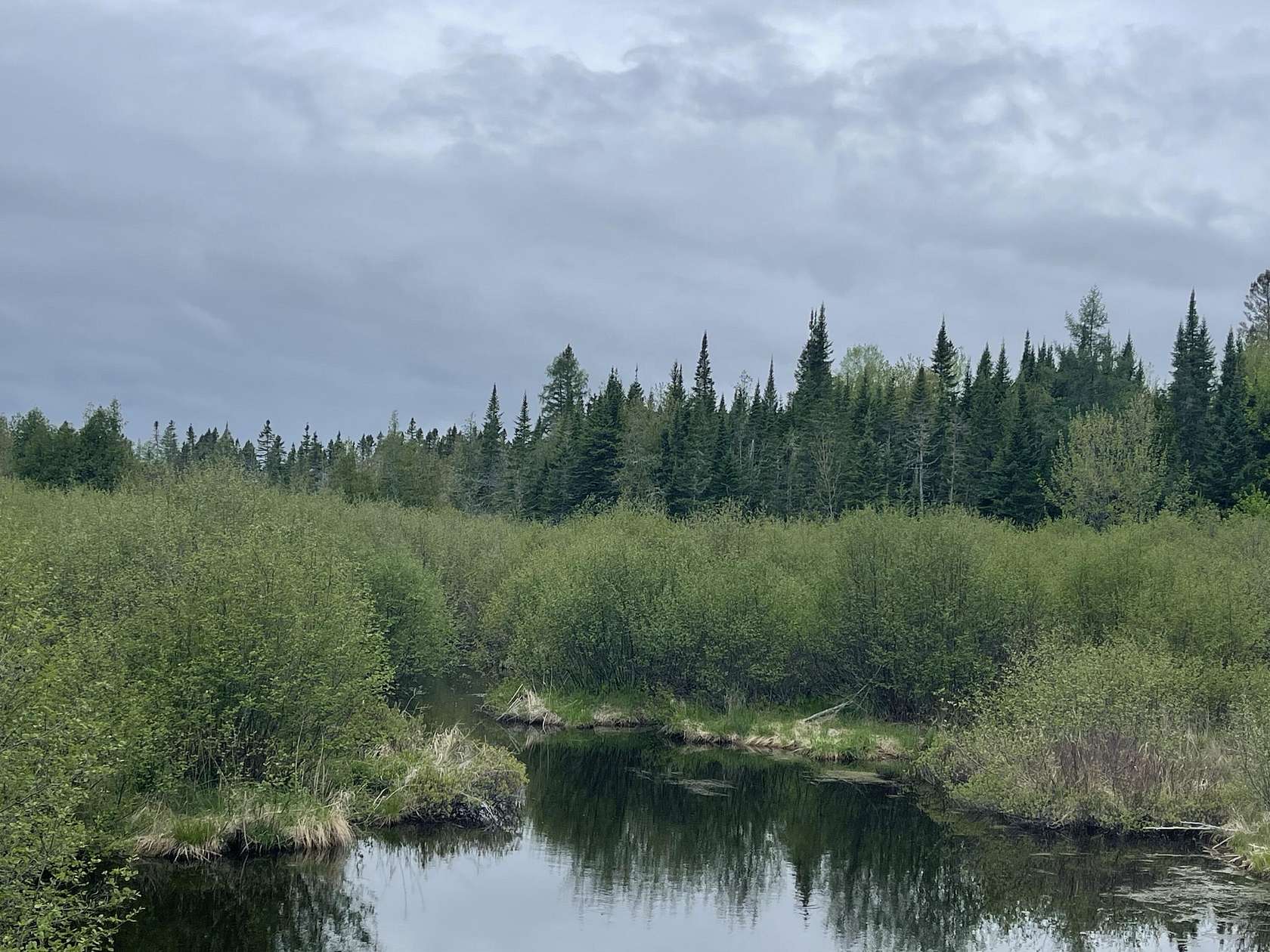 20 Acres of Recreational Land for Sale in Cary, Maine