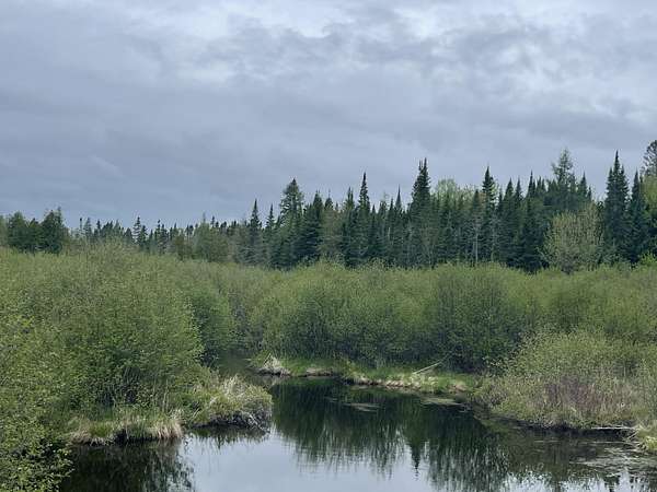 20 Acres of Recreational Land for Sale in Cary, Maine