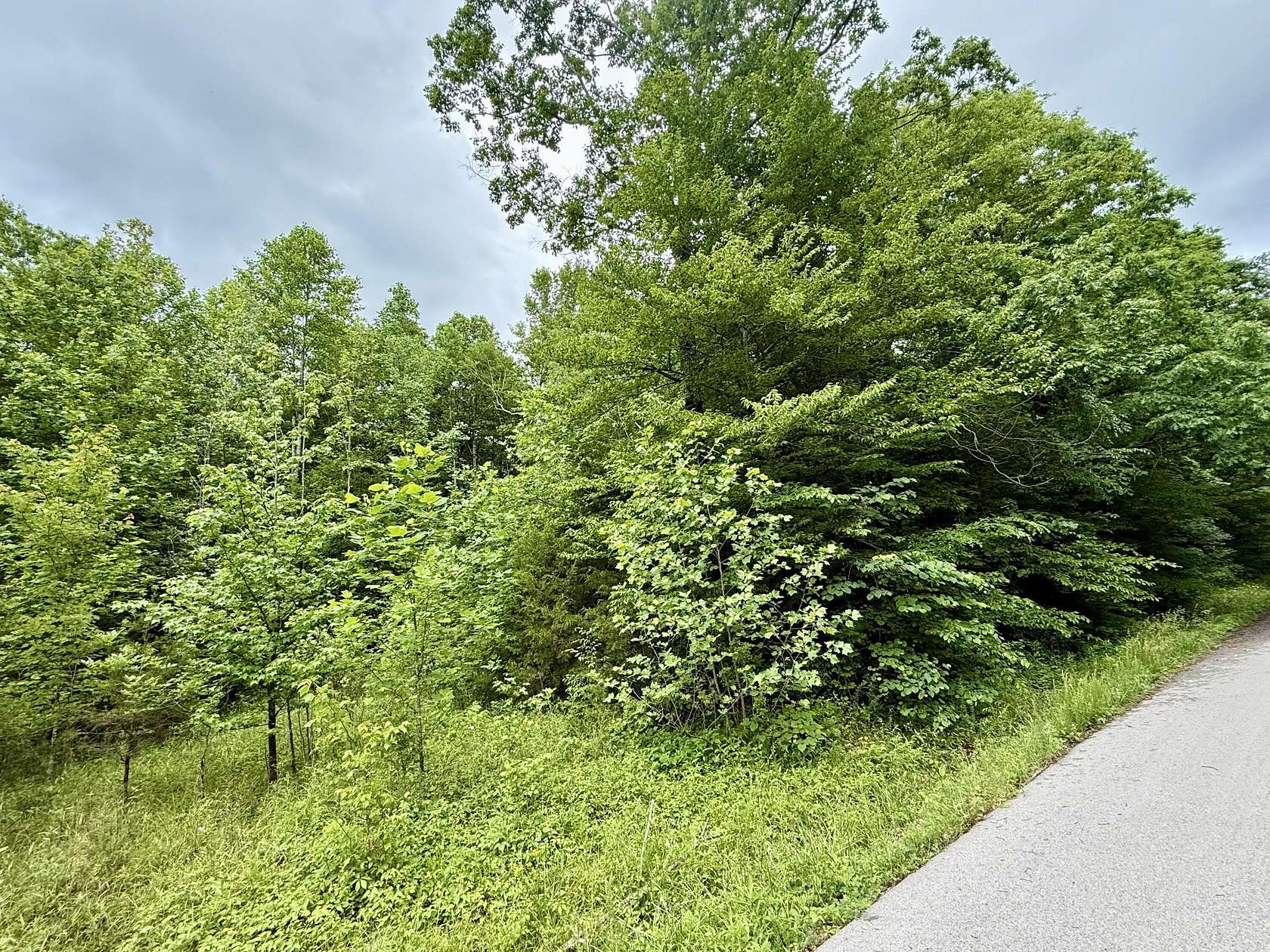 27.8 Acres of Recreational Land for Sale in Dunnville, Kentucky