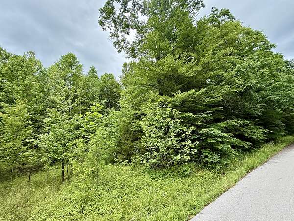 27.8 Acres of Recreational Land for Sale in Dunnville, Kentucky