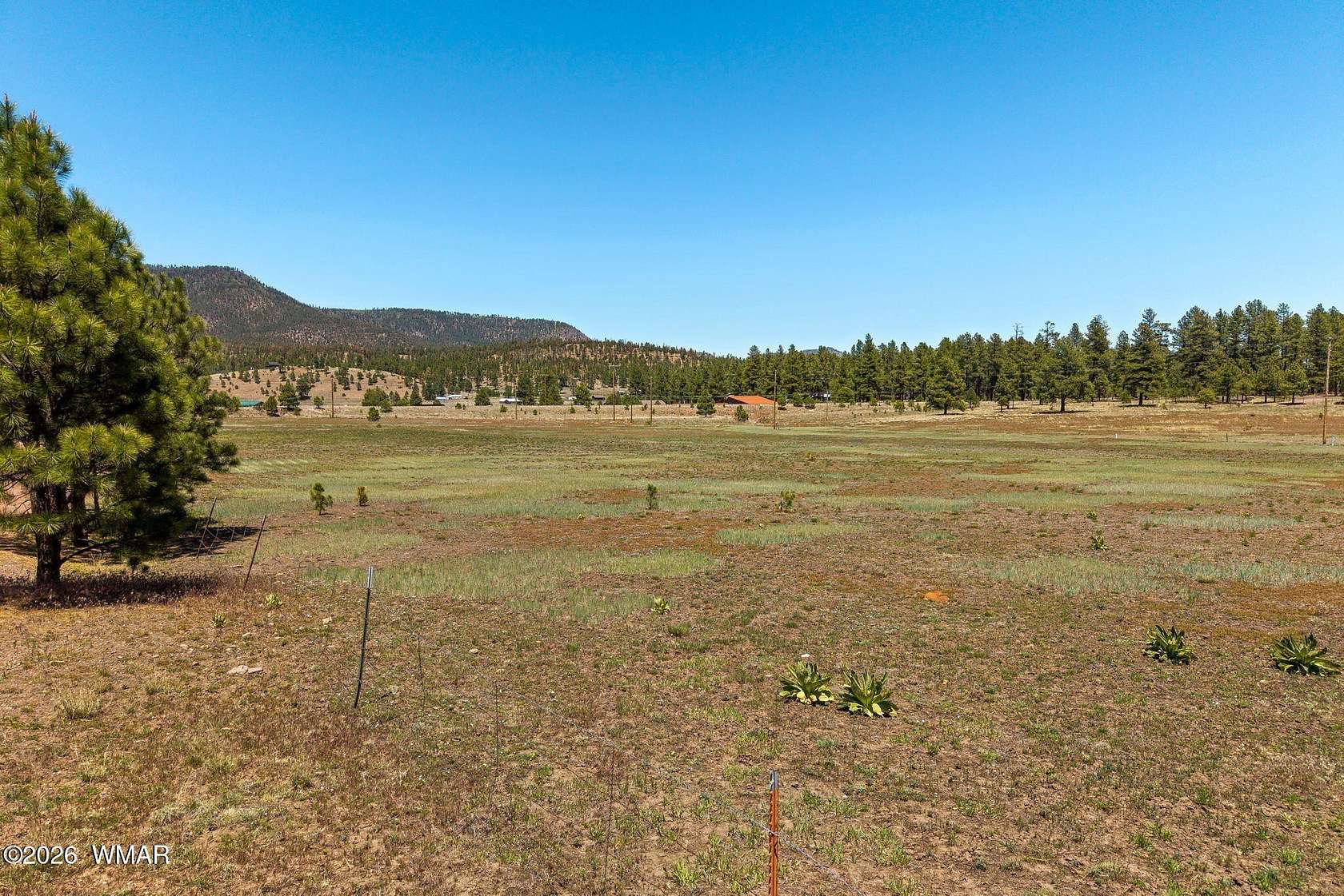 1 Acre of Residential Land for Sale in Alpine, Arizona
