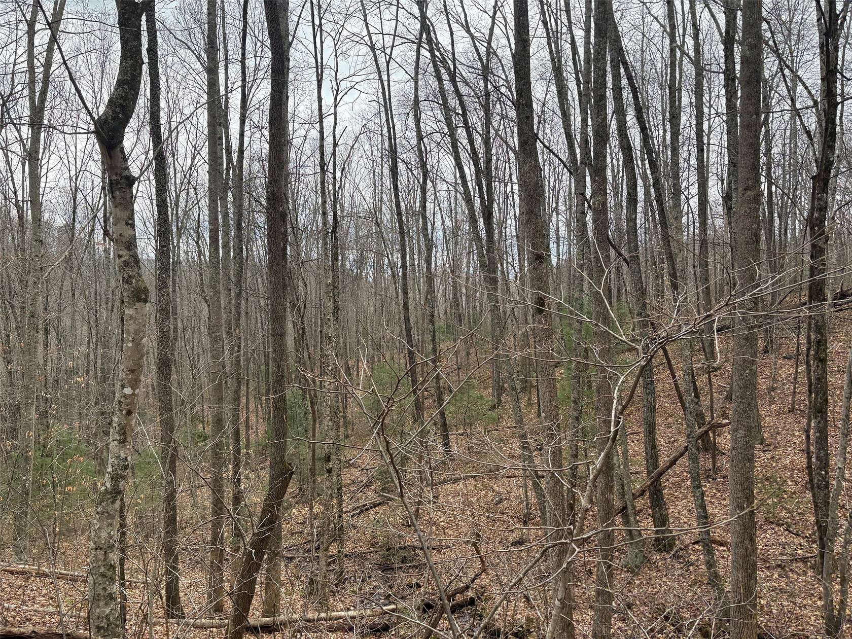 2.57 Acres of Land for Sale in Franklin, North Carolina
