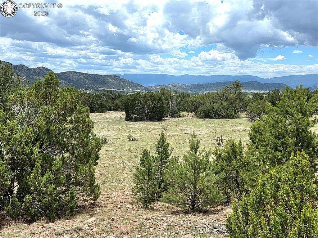 40 Acres of Land for Sale in Penrose, Colorado