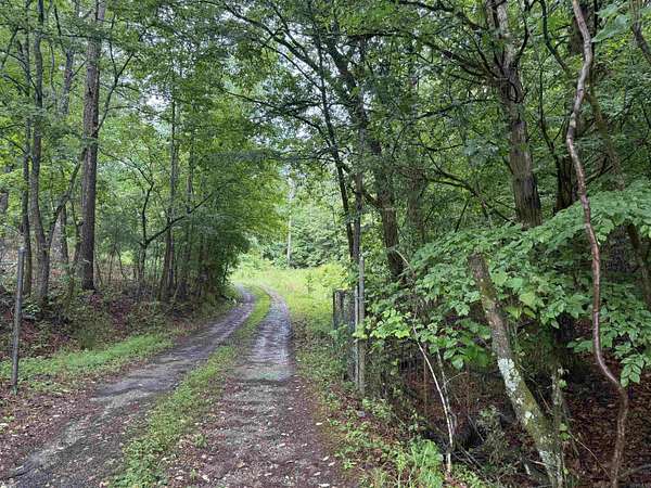 21 Acres of Recreational Land with Home for Sale in Jessieville, Arkansas