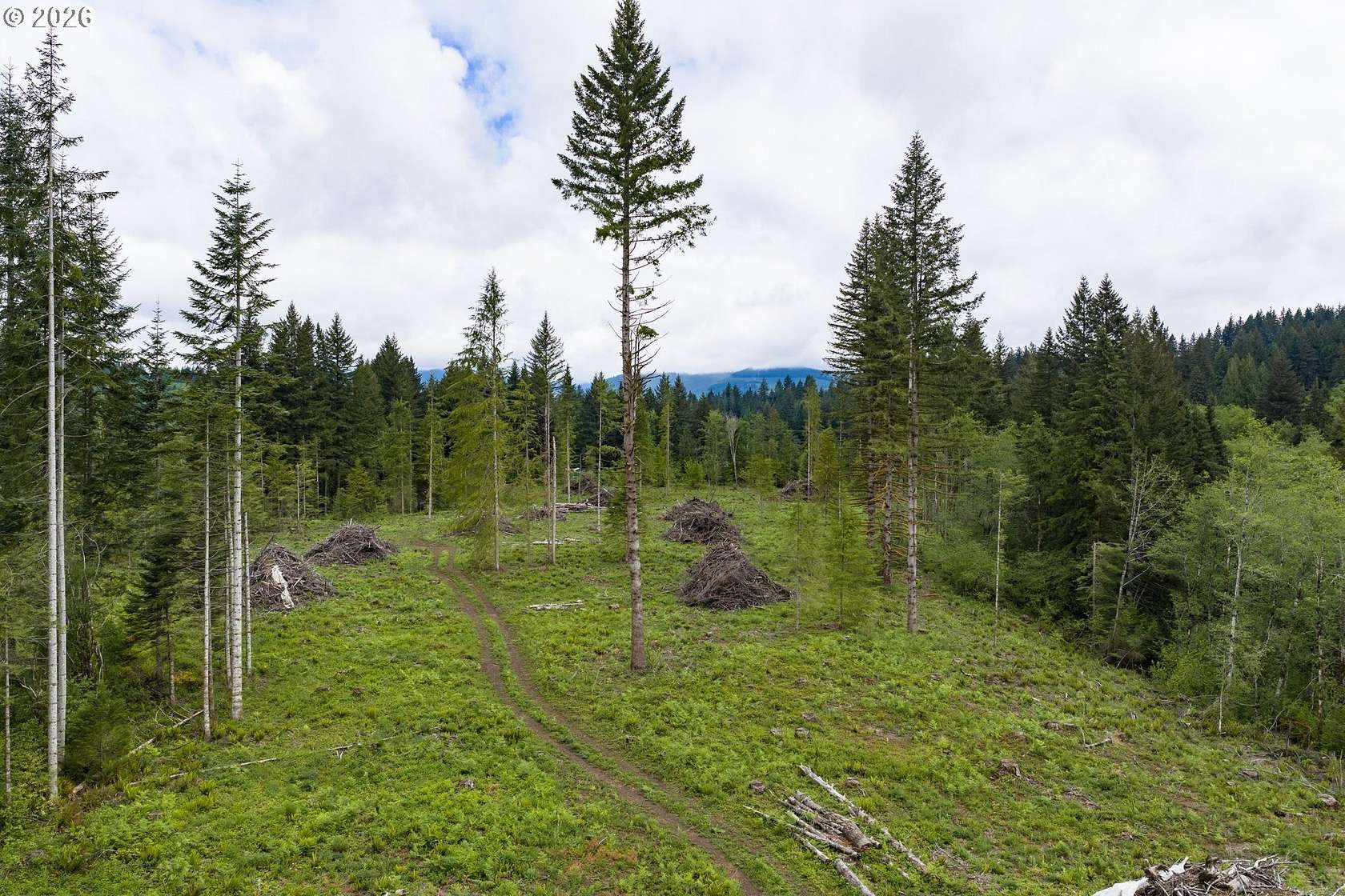 58 Acres of Recreational & Residential Land for Sale in Washougal, Washington