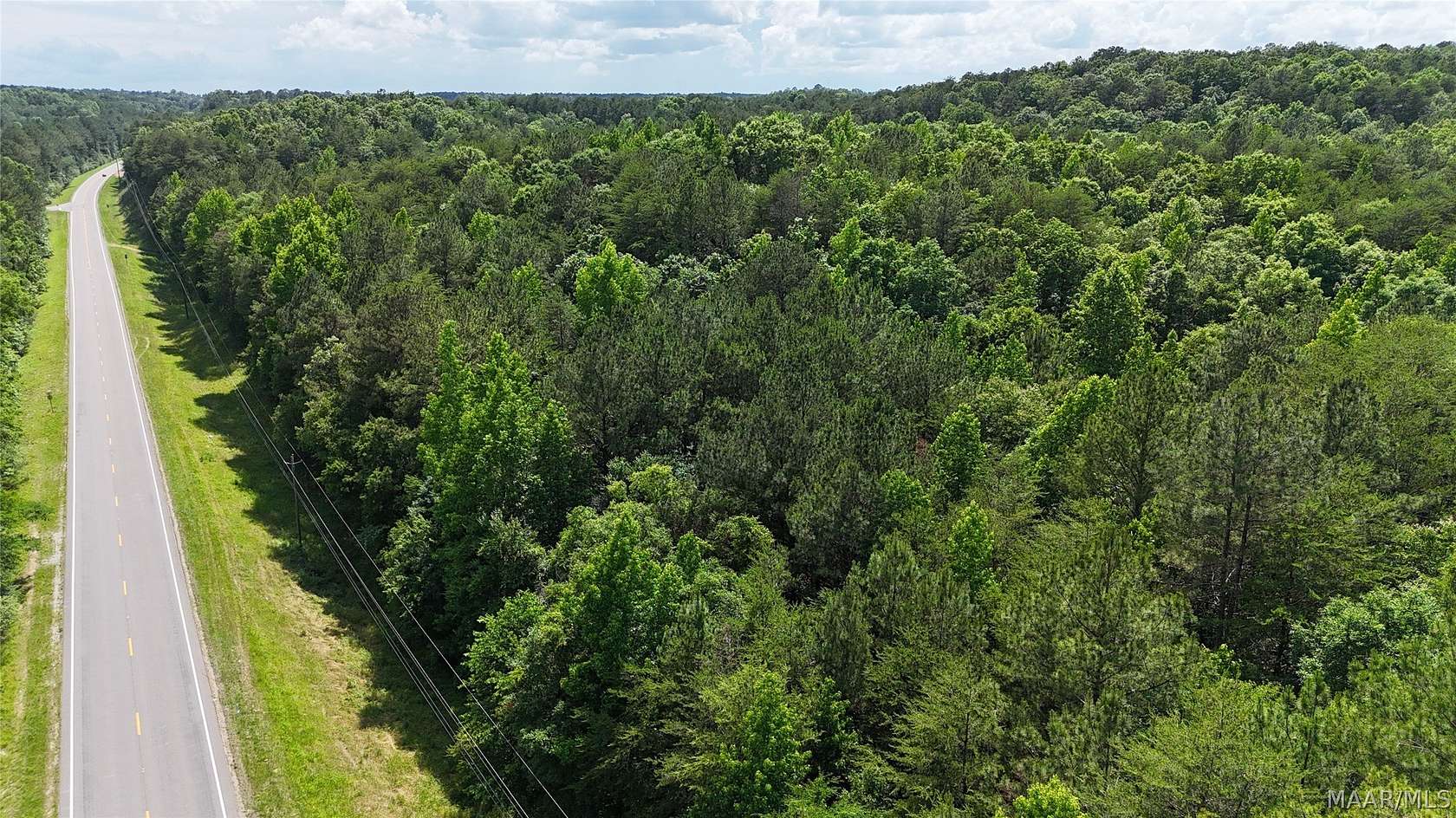 93 Acres of Land for Sale in Clanton, Alabama