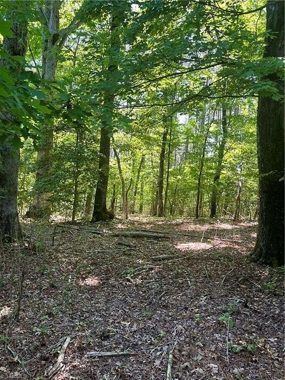 12.4 Acres of Land for Sale in Westfield, North Carolina