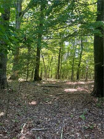12.4 Acres of Land for Sale in Westfield, North Carolina