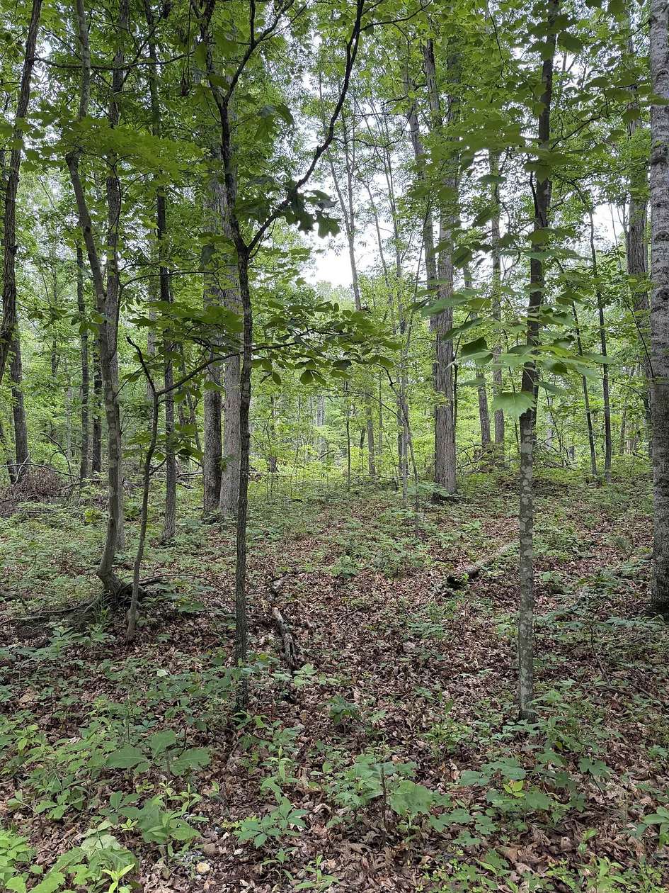 0.52 Acres of Residential Land for Sale in Crimora, Virginia