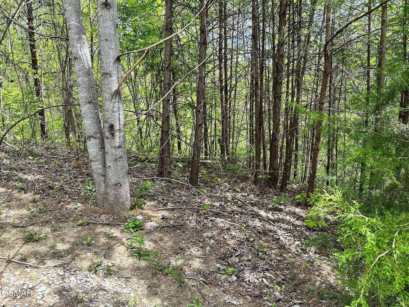1.28 Acres of Residential Land for Sale in Sevierville, Tennessee