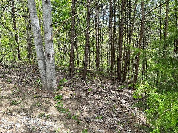 1.28 Acres of Residential Land for Sale in Sevierville, Tennessee