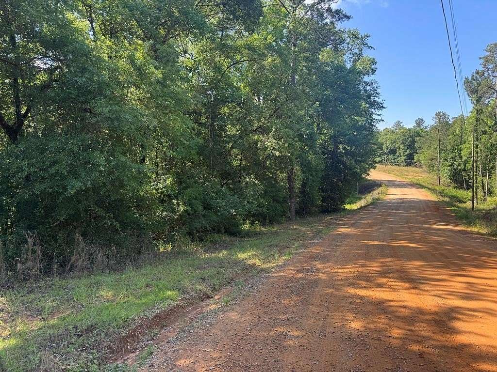 23 Acres of Land for Sale in Georgetown, Georgia