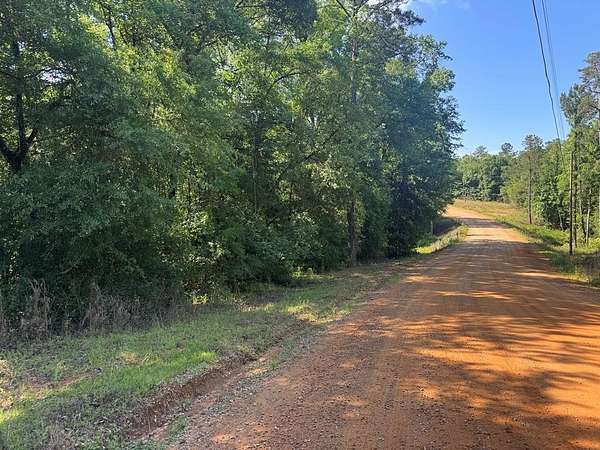 23 Acres of Land for Sale in Georgetown, Georgia