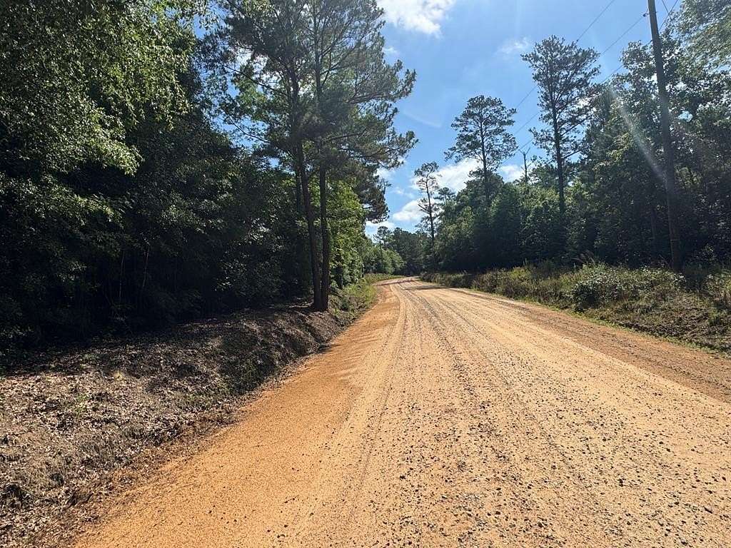 28.4 Acres of Land for Sale in Georgetown, Georgia