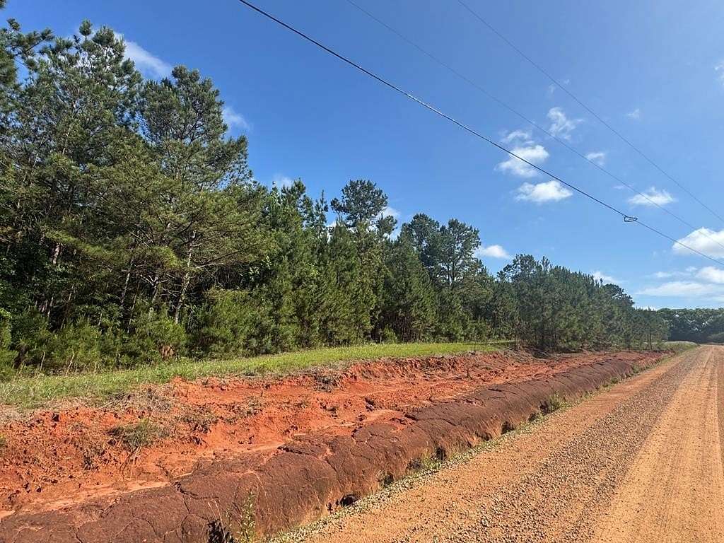 6.68 Acres of Land for Sale in Georgetown, Georgia