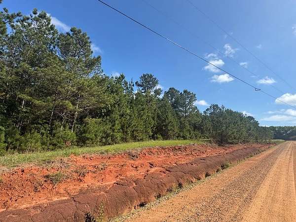 6.68 Acres of Land for Sale in Georgetown, Georgia