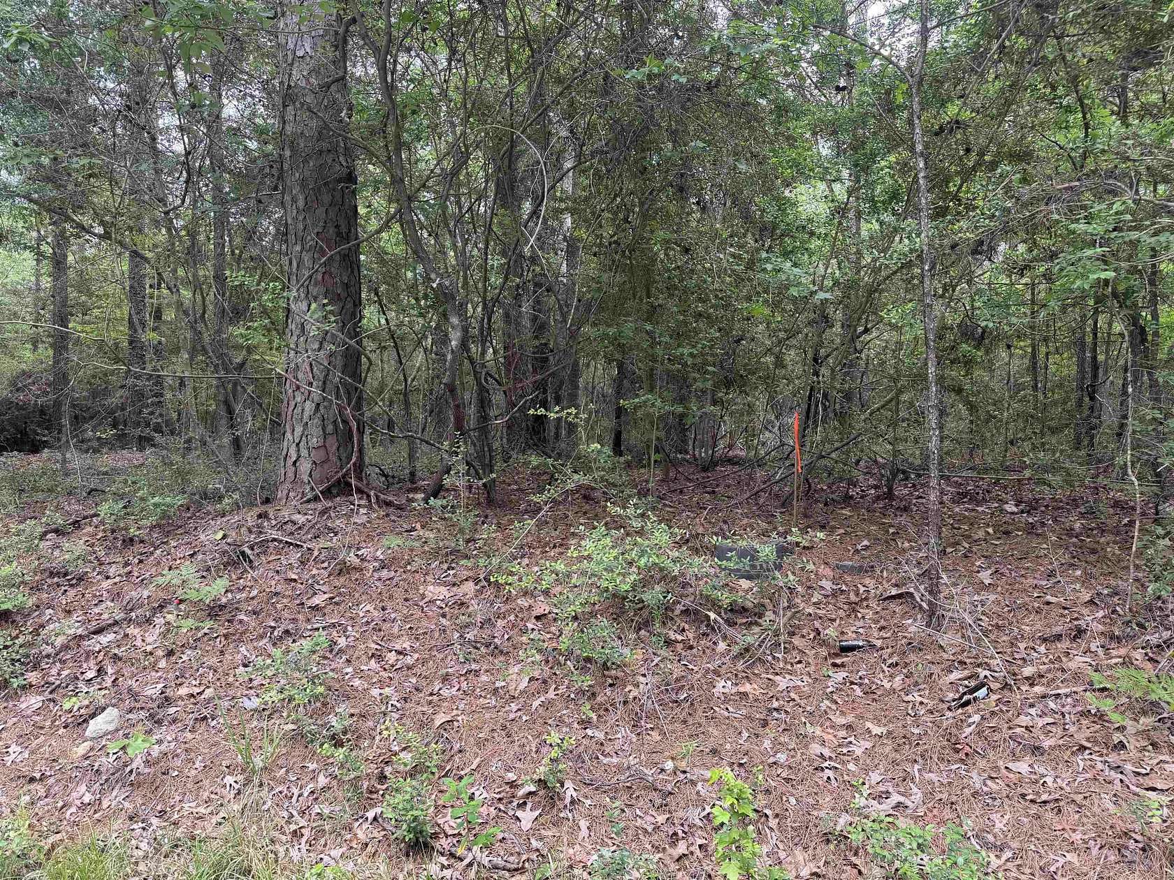 0.48 Acres of Residential Land for Sale in Brookeland, Texas