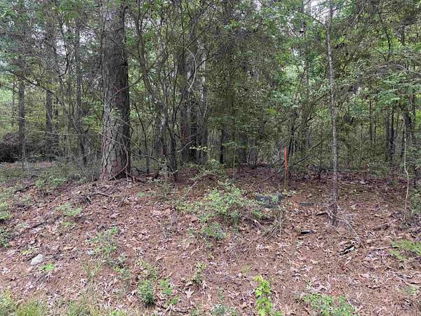 0.48 Acres of Residential Land for Sale in Brookeland, Texas