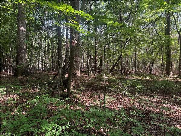 10 Acres of Land for Sale in Seagrove, North Carolina