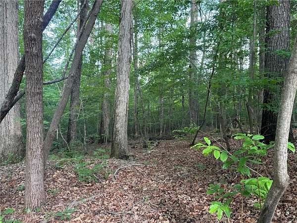 10 Acres of Land for Sale in Seagrove, North Carolina