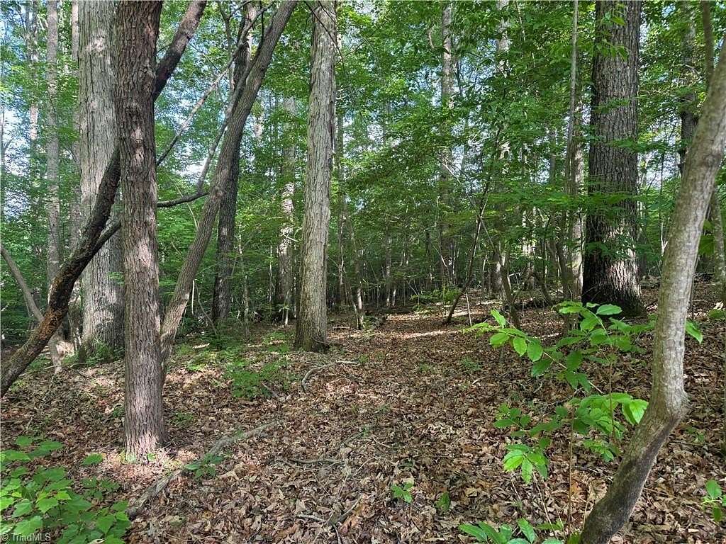 10 Acres of Land for Sale in Seagrove, North Carolina