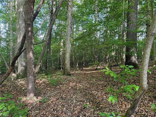 10 Acres of Land for Sale in Seagrove, North Carolina