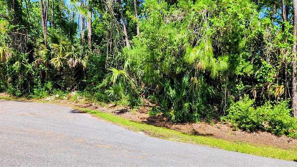 0.24 Acres of Residential Land for Sale in Palm Coast, Florida