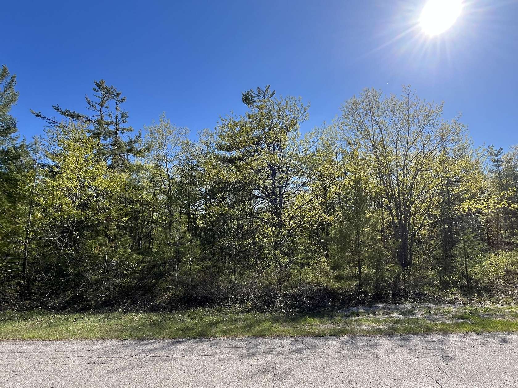 0.32 Acres of Residential Land for Sale in Presque Isle, Michigan