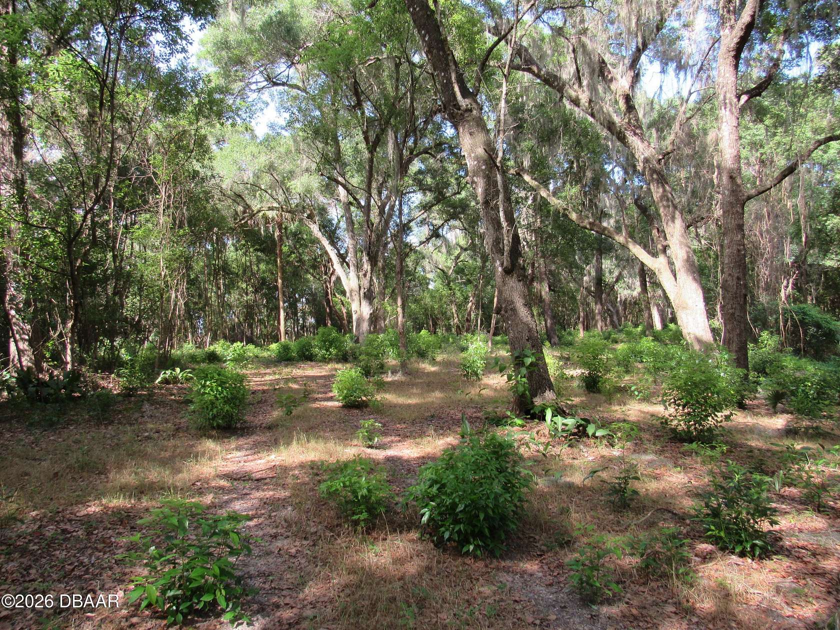 2.5 Acres of Residential Land for Sale in DeLand, Florida