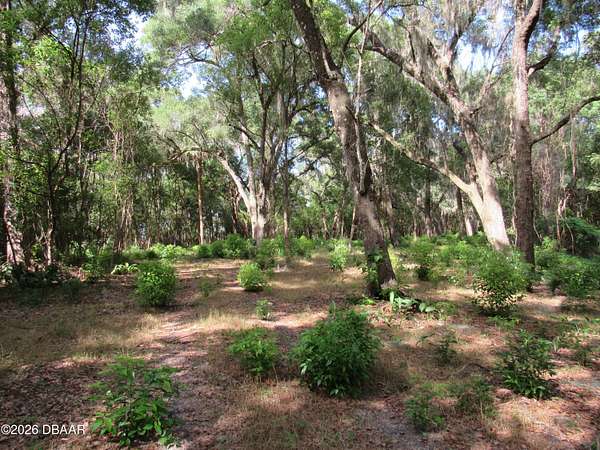 2.5 Acres of Residential Land for Sale in DeLand, Florida