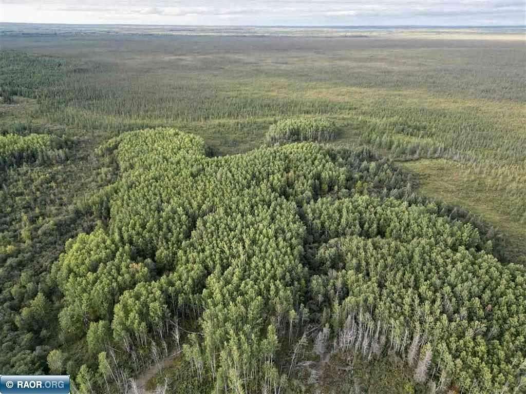80 Acres of Recreational & Residential Land for Sale in Orr, Minnesota