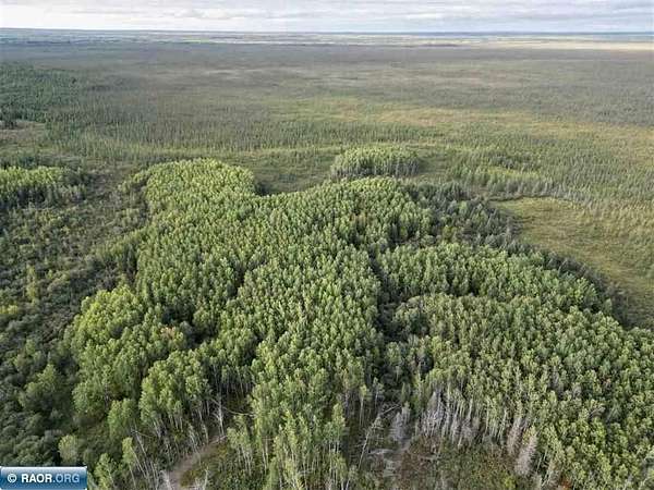80 Acres of Recreational & Residential Land for Sale in Orr, Minnesota