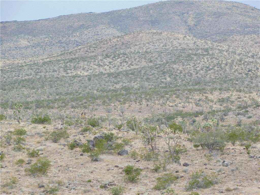 40 Acres of Land for Sale in Dolan Springs, Arizona