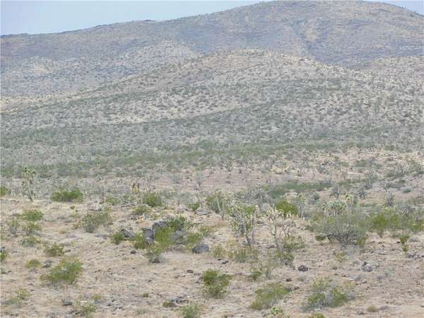 40 Acres of Land for Sale in Dolan Springs, Arizona