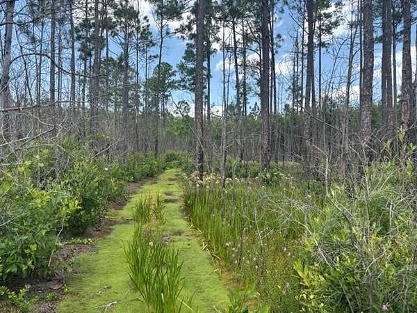 6.37 Acres of Land for Sale in St. Cloud, Florida