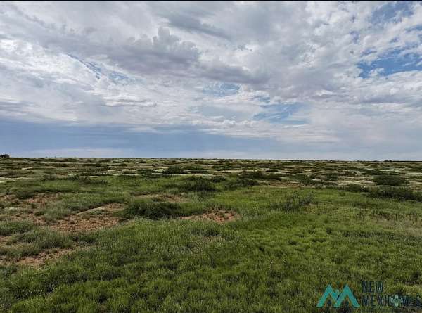 652 Acres of Land for Sale in Roswell, New Mexico