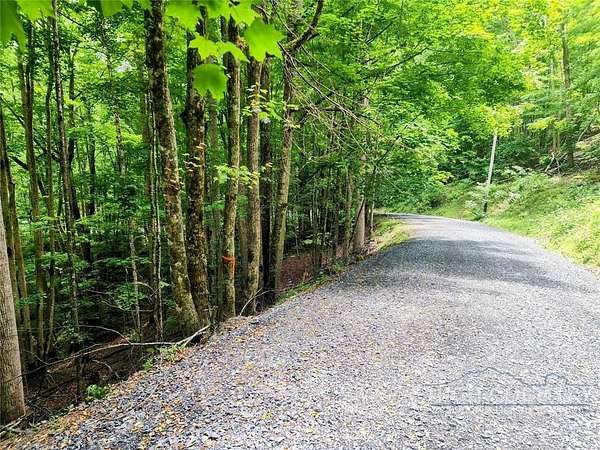 0.46 Acres of Land for Sale in Beech Mountain, North Carolina