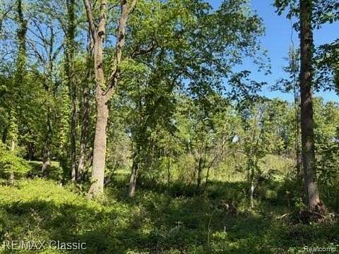 0.35 Acres of Residential Land for Sale in Hamburg Township, Michigan