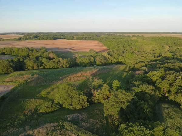 41.3 Acres of Land for Auction in Colchester, Illinois