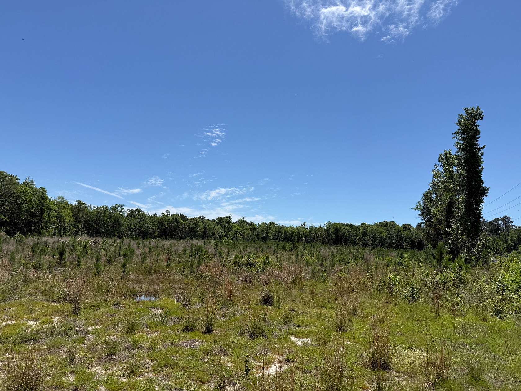 109 Acres of Land for Sale in Vernon, Florida
