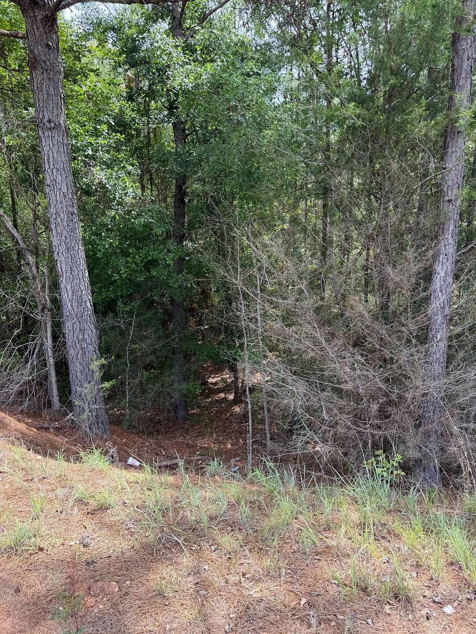 277 Acres of Recreational Land for Sale in Luverne, Alabama