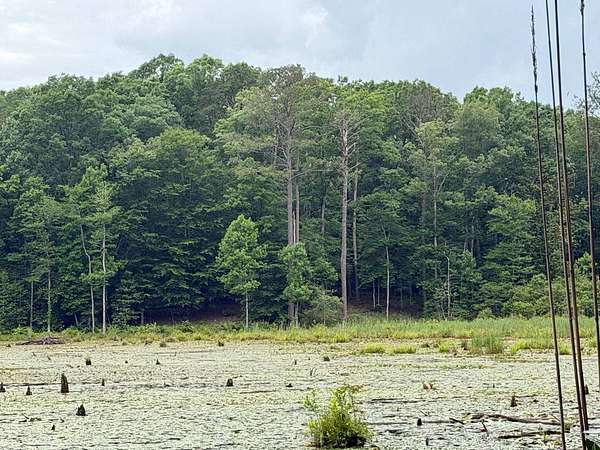 277 Acres of Recreational Land for Sale in Luverne, Alabama