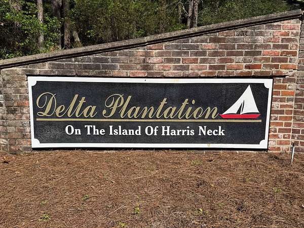 4.6 Acres of Residential Land for Auction in Townsend, Georgia
