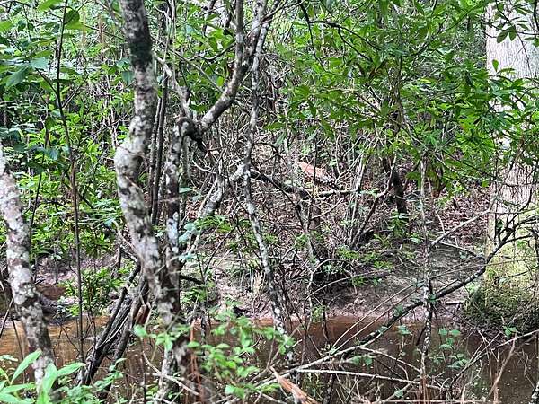 79 Acres of Recreational Land for Sale in Merryville, Louisiana