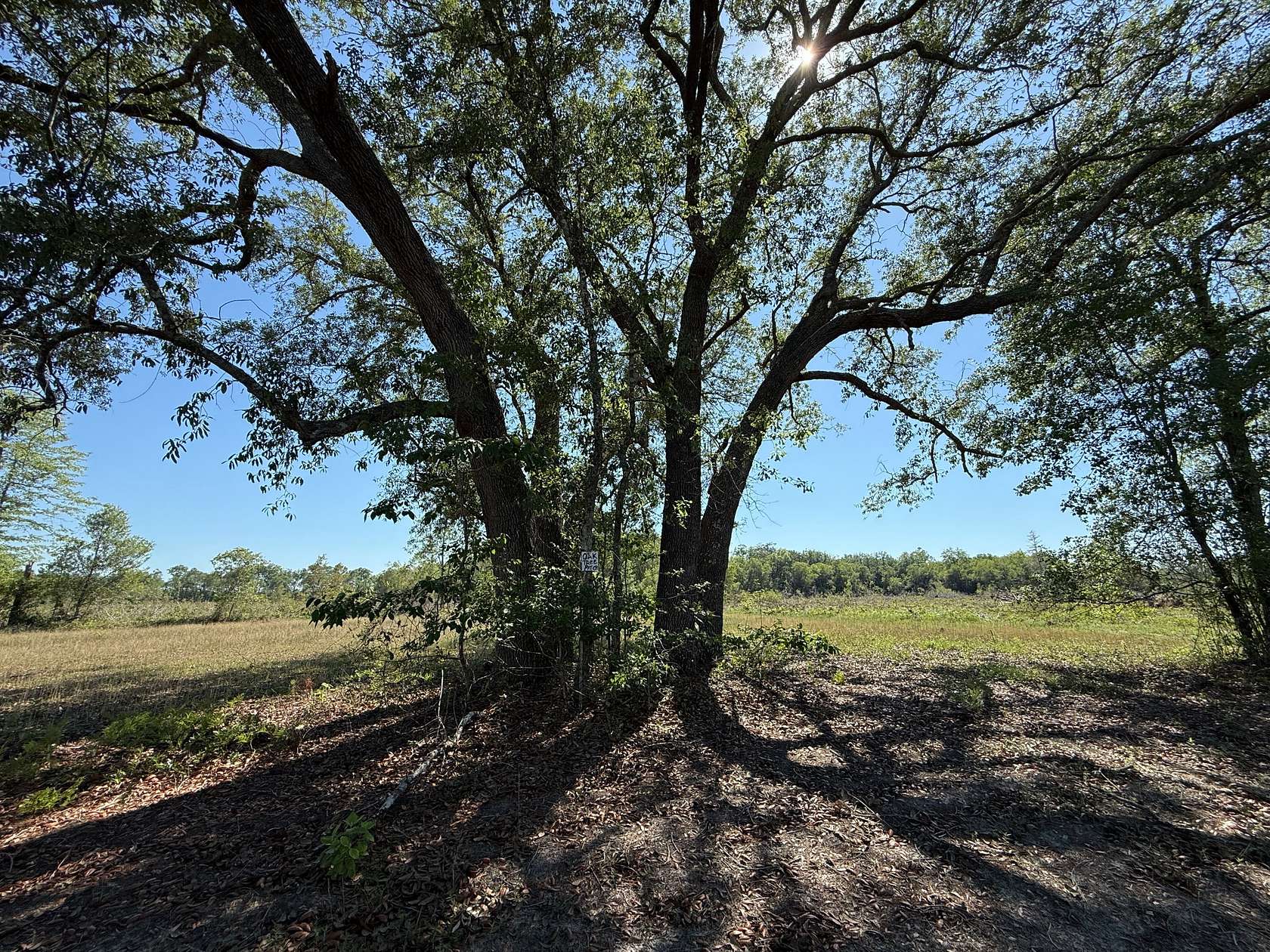 643 Acres of Recreational Land for Sale in Hosford, Florida
