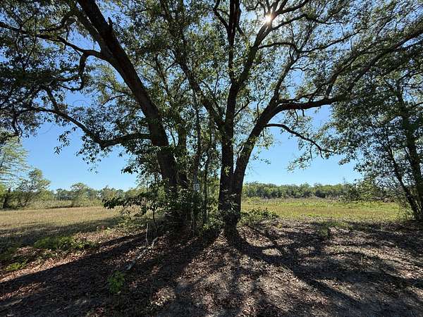 643 Acres of Recreational Land for Sale in Hosford, Florida